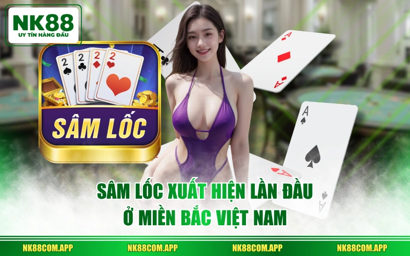 Sâm Lốc xuất hiện lần đầu ở miền Bắc Việt Nam